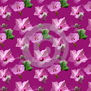 small real pink flowers on purple magenta background