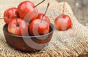 Small red apples. Ranetki