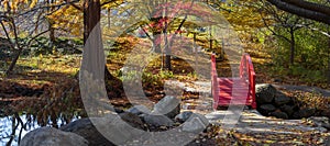 Small red bridge in Scenic Japanese garden during autumn time