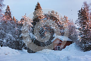 Small red cabin in a snow area surrounded by fir trees covered in snow with a touch of sun rays