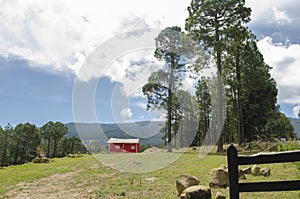 Small red cabin in the woods