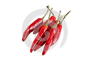 Small red chili peppers isolated on a white background