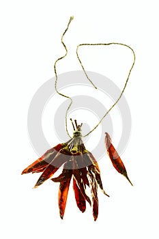 Small red chilli pepper