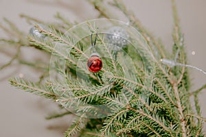 Small red christmas ball hanging on the fir branch