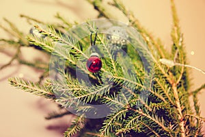 Small red christmas ball hanging on the fir branch