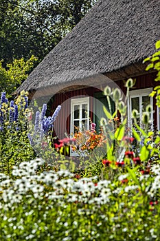 Small red cottage