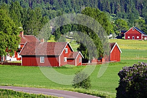 Small red farms in green landscape