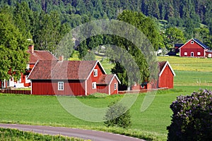 Small red farms in green landscape photo