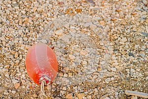 Small red fishing buoy on ground