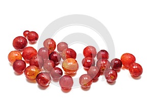 Small Red Grape White Background