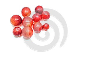 Small Red Grape White Background