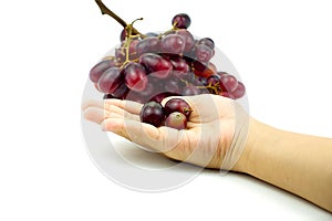 Small red grapes in children`s hand and bunch of grapes
