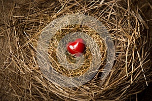 Small red heart lying in birds nest