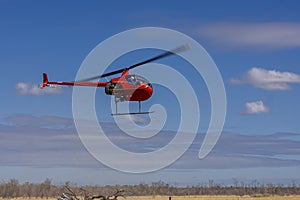 Small red helicopter cattle mustering