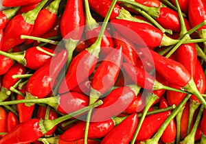 Small red hot chilli pepper