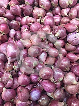 Small red onions close up