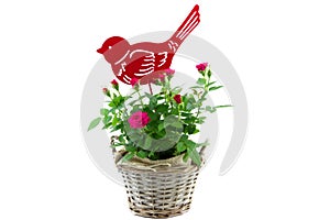 Small red roses and decorative metal bird