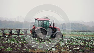 small red Russian tractor with a plow plows up the soil in a cabbage field before winter