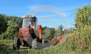 Small red tractor  normally used  for vineyard maintenance and the grape harvest