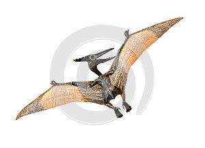 A small red and yellow Pterodactyl toy front and back looking to its left