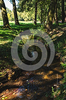 a small regulated stream flowing through the park