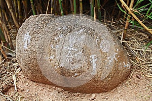 Petroglyph Replica in Las Lagunas de Anza Wetlands photo