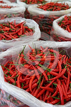 Small ripe red hot pepper in plastic bags in fresh market