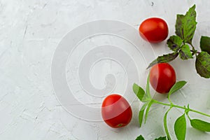 Small ripe tomatoes, fresh basil top view