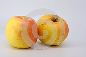 Small ripe yellow apples with red sideways located on a white background.