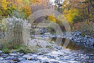 Small river on the background of autumn landscape