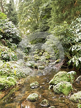 Small river at Botanical Garden of Ribeira do Guilherme, SÃ£o Miguel Island photo