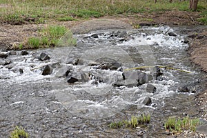 small river cascde in spring, Brohl