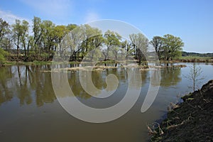 Small river in early spring