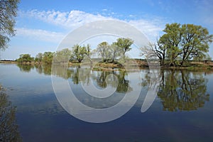 Small river in early spring