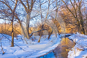 small river flow among snowbound forest