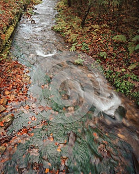 Small river flowing in a forest during the daytime in the fall