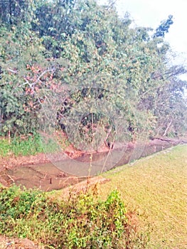 A small river is flowing like a drain in winter season at Assam