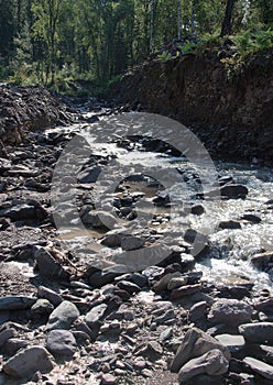 A small river flowing in a mountain stream in the rocky shores through the morning forest