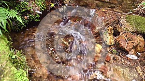 Small river flowing into the rainforest at southeastern Brazil