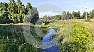 A small river flows between grassy meadows with bushes and trees and forest on the horizon. Aquatic vegetation grows in the water