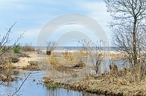 A small river flows through the sand dunes and flows into the Baltic Sea in Latvia.