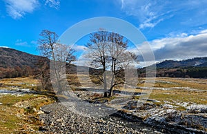 Small river flows between two trees - winter mountain landscape