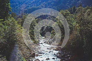 Small river flows through Wilmot Pass at Doubtful Sound - Fiordland National Park, South Island, New Zealand