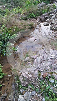 River runing water in the forest