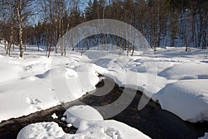 Small river in a forest with snow in winter