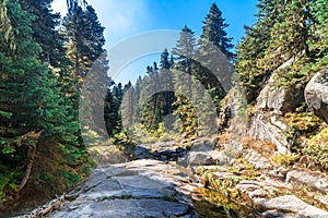 Small River Among Forest in Uludag National Park