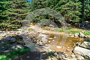 Small River Among Forest in Uludag National Park