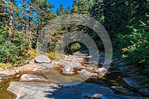 Small River Among Forest in Uludag National Park