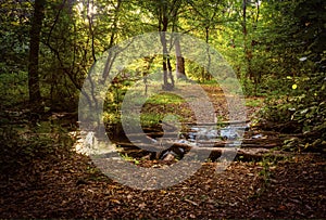 Small river in forest, wooden bridge
