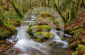 Small river in Fragas do Eume